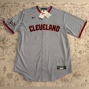 Nike Authentic Cleveland Guardians Steven Kwan #38 2025 Gray Jersey Men’s Sz: L